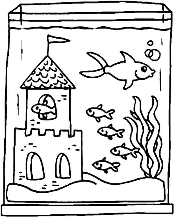 aquarium-coloring-pages-at-getcolorings-free-printable-colorings-pages-to-print-and-color