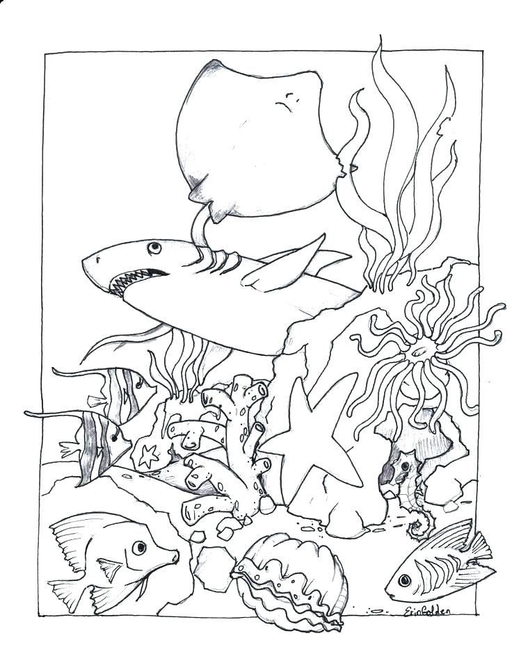 Aquarium Coloring Pages For Kids At GetColorings Free Printable Colorings Pages To Print