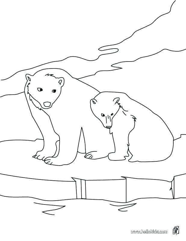 Arctic Animals Coloring Pages For Preschoolers at GetColorings.com