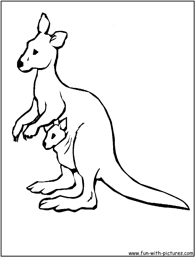 Australian Animals Colouring Pages at GetColorings.com | Free printable