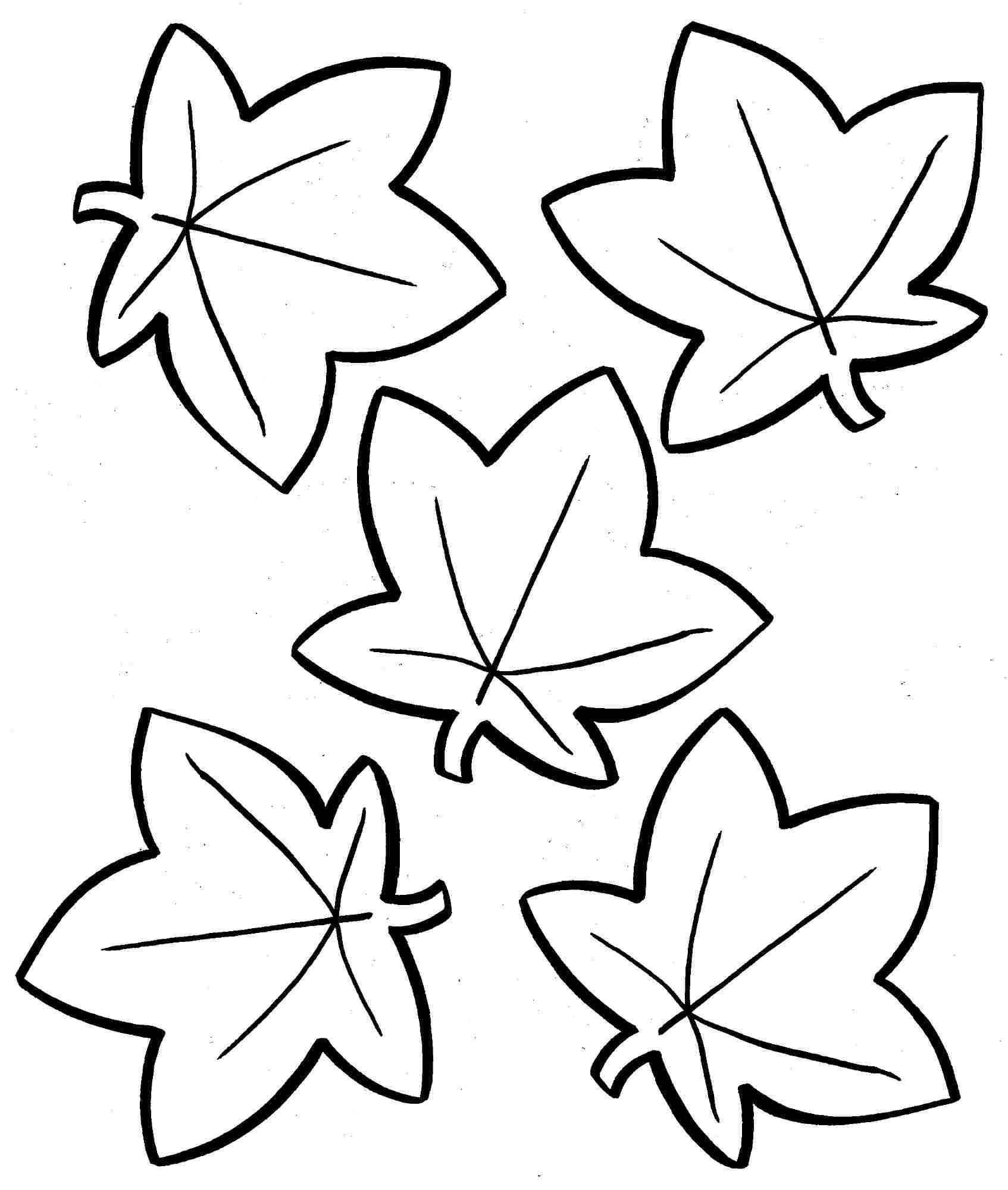 Autumn Leaves Coloring Pages At GetColorings Free Printable 