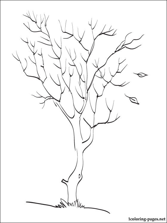 Autumn Tree Coloring Pages At Getcolorings.com 