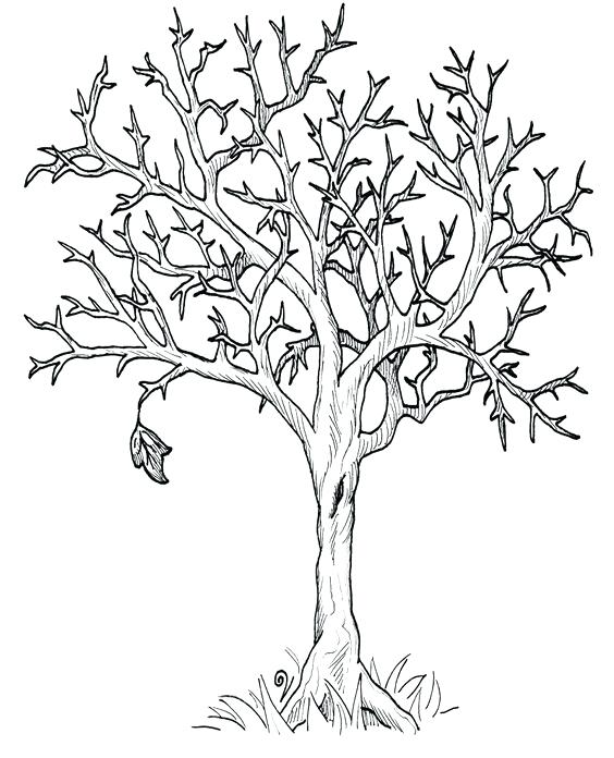 Autumn Tree Coloring Pages at GetColorings.com | Free printable