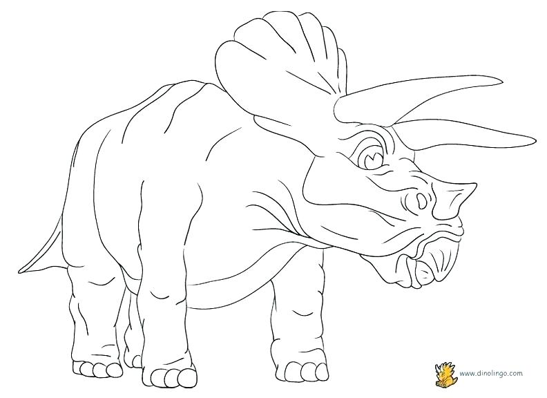 Axial Skeleton Coloring Pages at GetColorings.com | Free printable