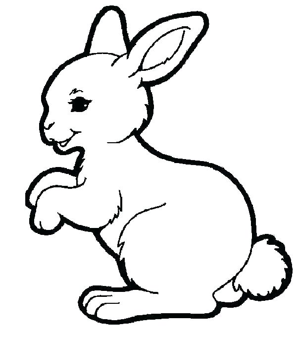 Baby Bunny Coloring Pages at GetColorings.com | Free printable