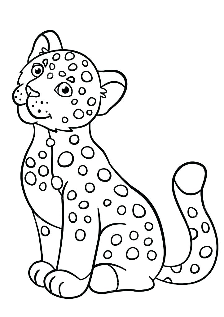 Baby Cat Coloring Pages at GetColorings.com | Free printable colorings