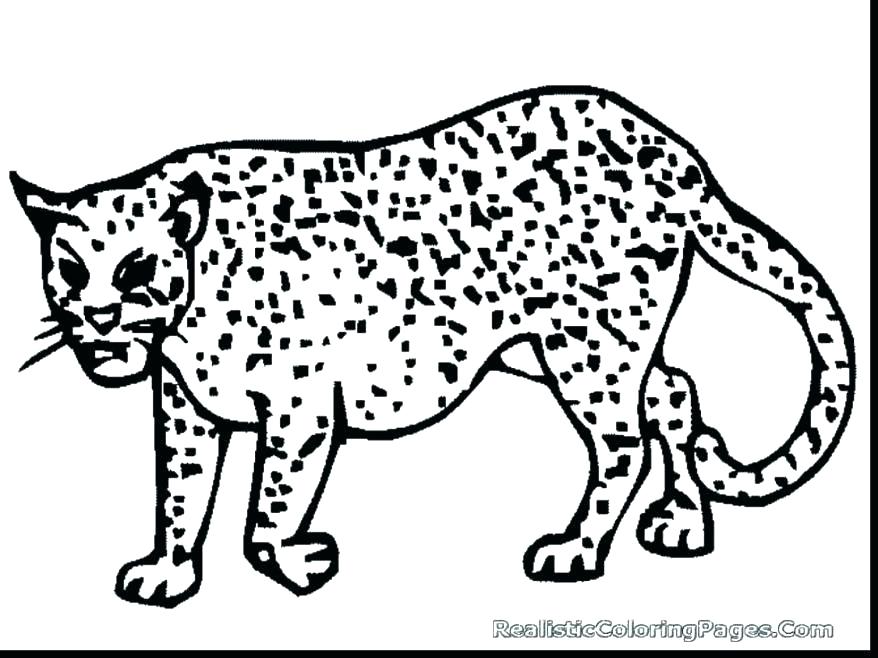 Baby Cheetah Coloring Pages At Getcolorings.com 