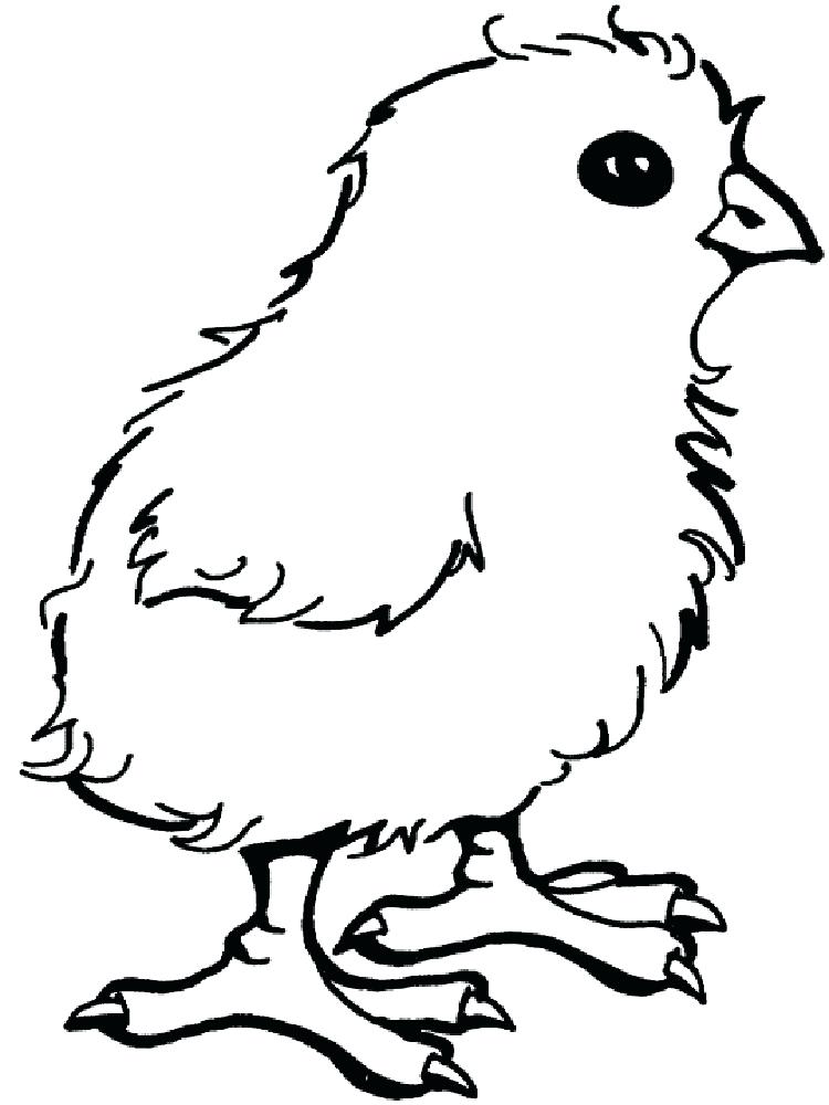 Baby Chick Coloring Pages At GetColorings Free Printable 