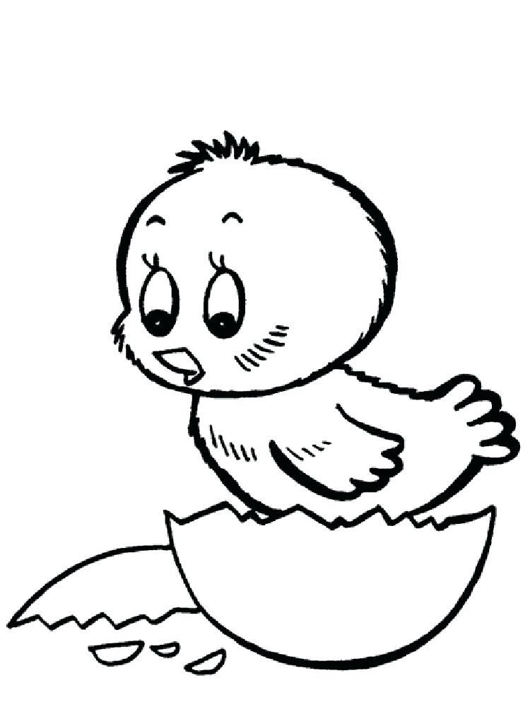Baby Chick Coloring Pages At GetColorings Free Printable 