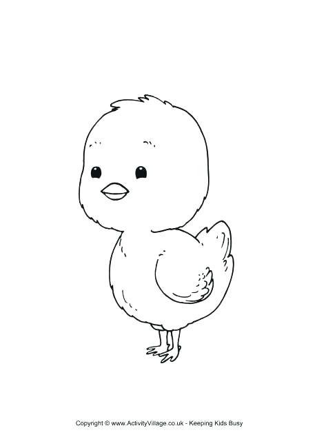 Baby Chick Coloring Pages At GetColorings Free Printable 