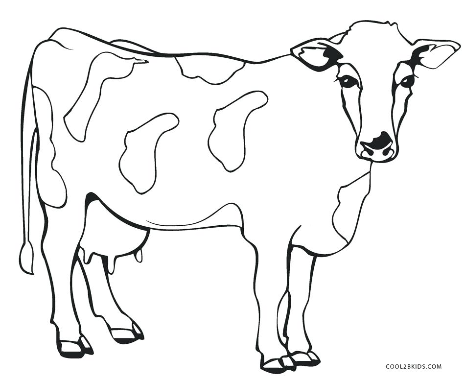 Baby Cow Coloring Pages at GetColorings.com | Free printable colorings