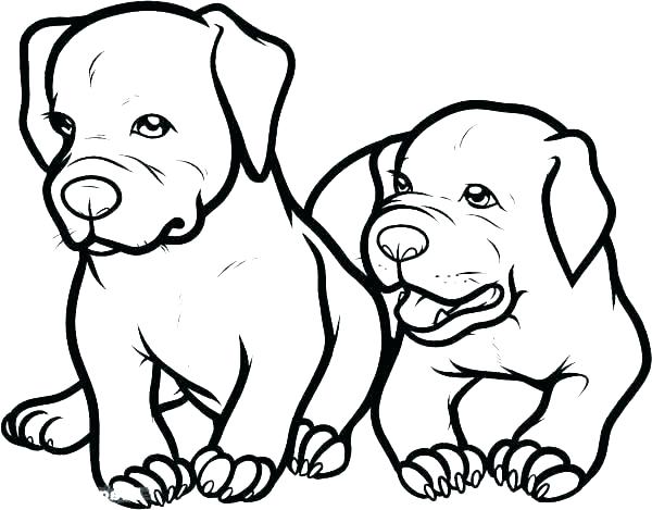 Baby Dog Coloring Pages at GetColorings.com | Free printable colorings