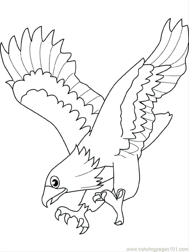 Baby Eagle Coloring Page at GetColorings.com | Free printable colorings
