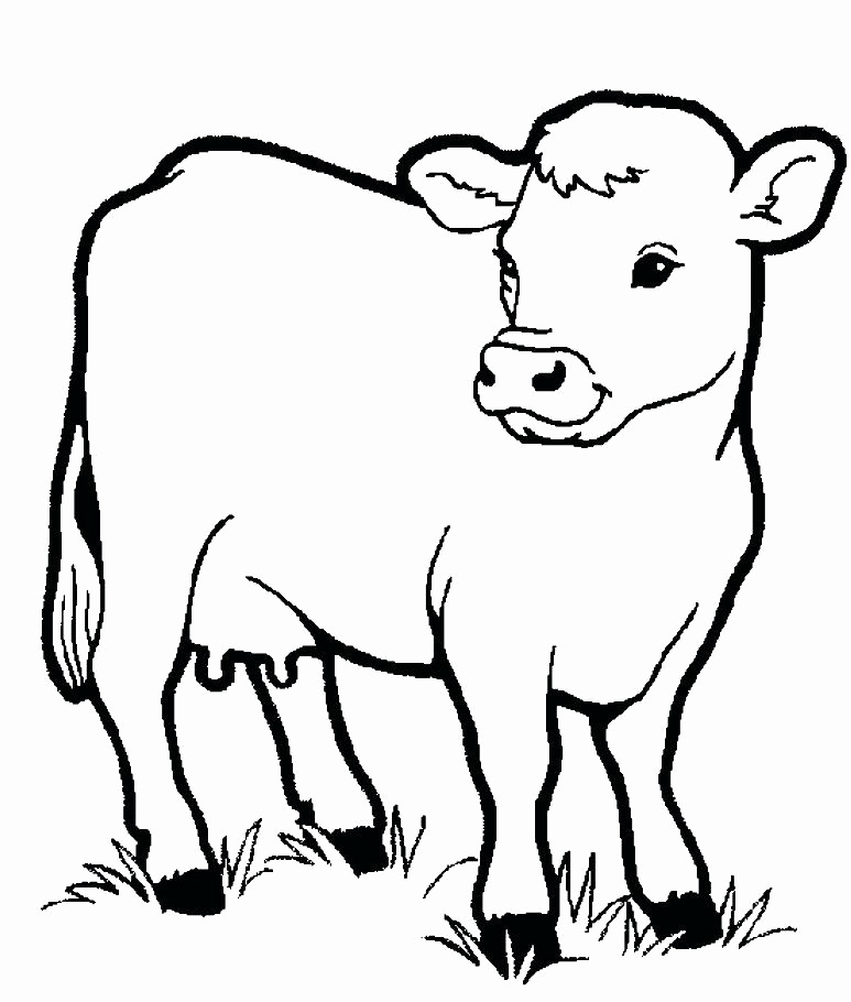 Baby Farm Animal Coloring Pages at Free printable