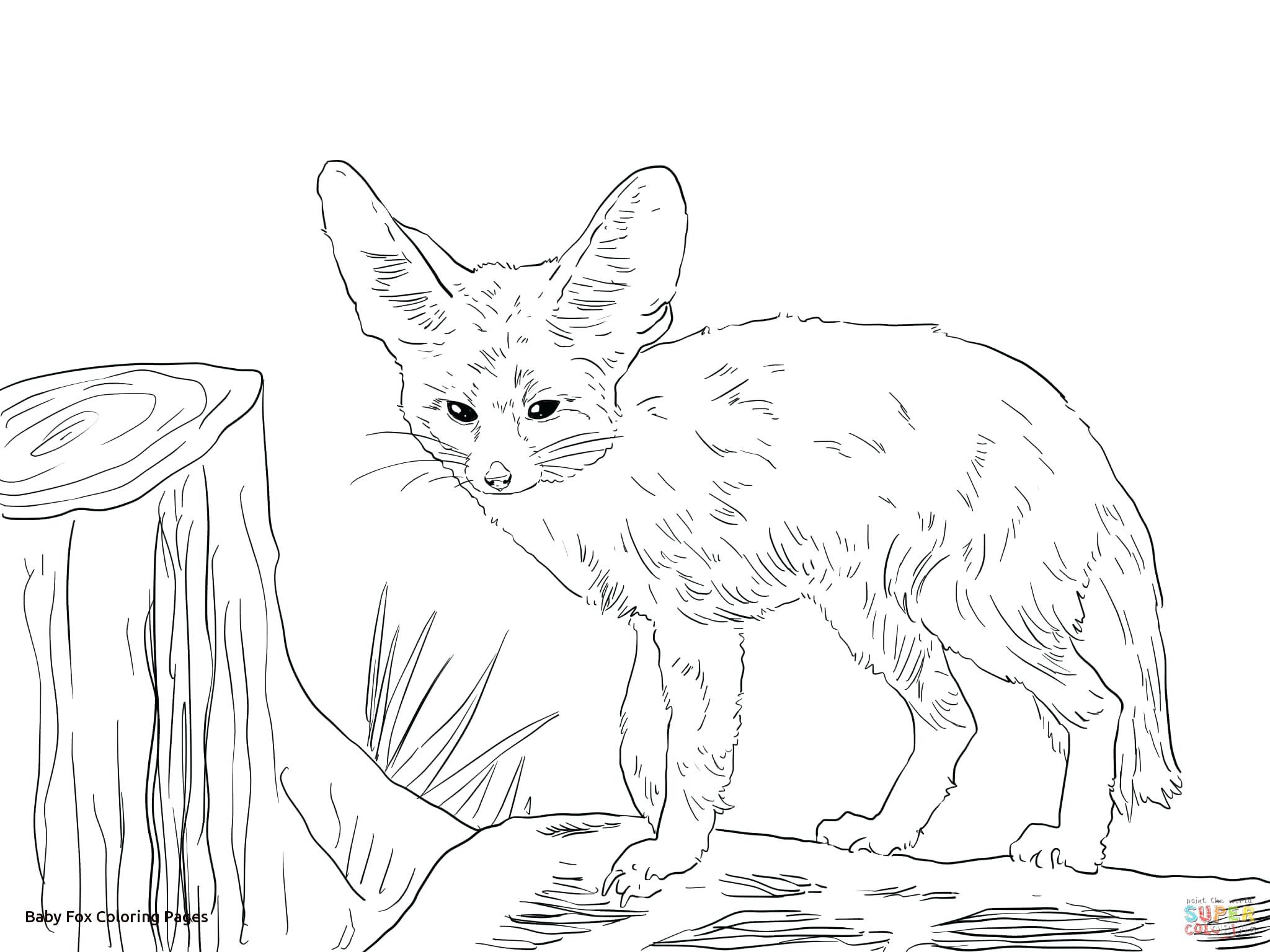 Baby Fox Coloring Pages at GetColorings.com | Free printable colorings