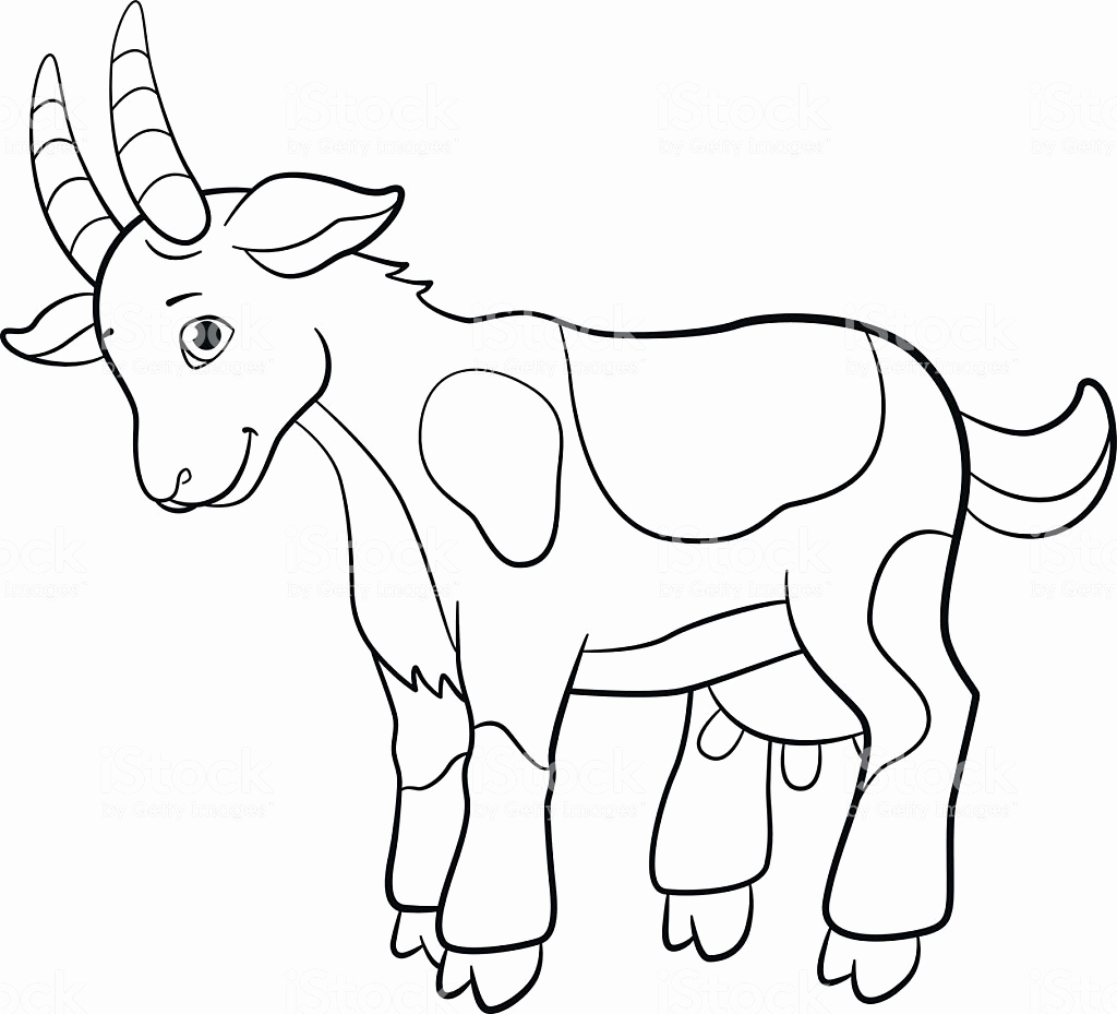 Goat Head Coloring Page Coloring Pages