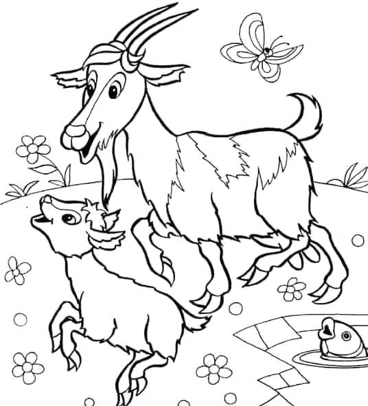 Baby Goat Coloring Pages at GetColorings.com   Free printable colorings ...