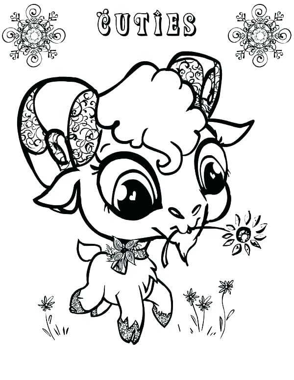 coloring goat cute baby drawing eyed animal blackbeard goats mountain printable drawings getcolorings getdrawings sheets