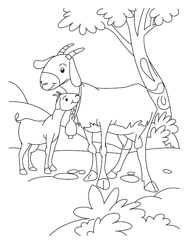 Baby Goat Coloring Pages at GetColorings.com   Free ...