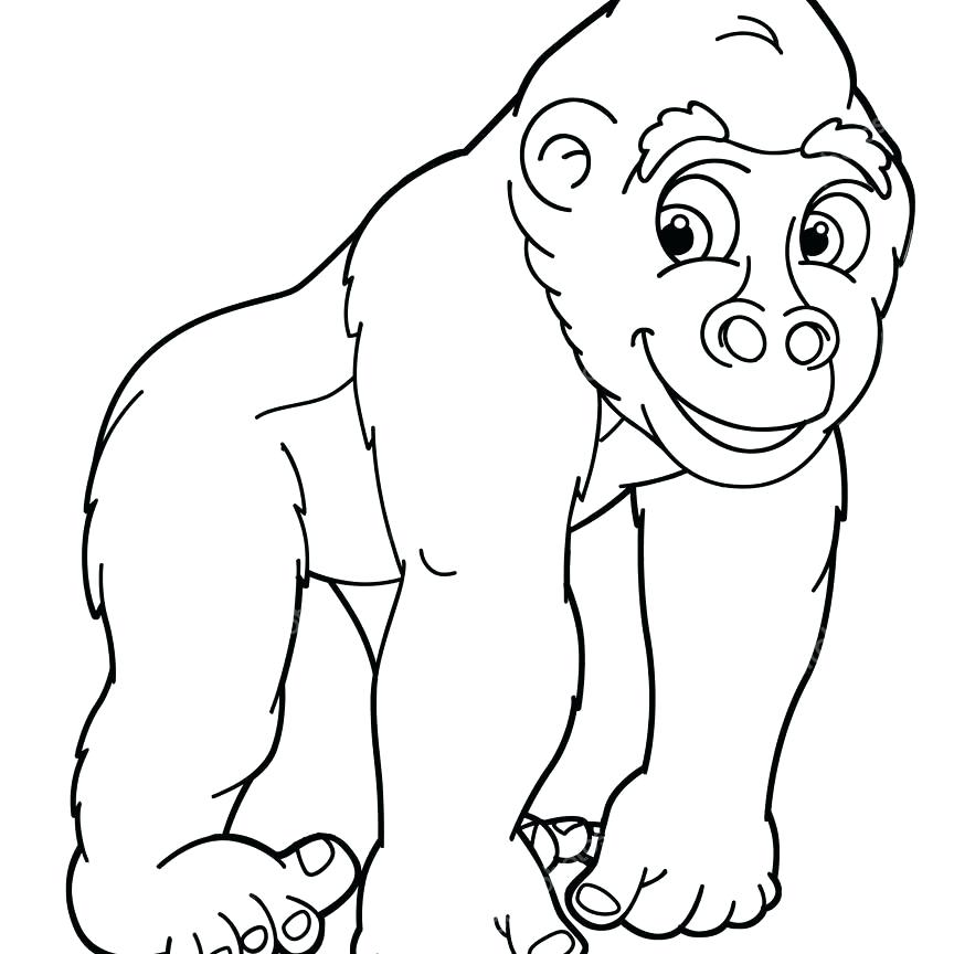 Baby Gorilla Coloring Pages At GetColorings Free Printable 