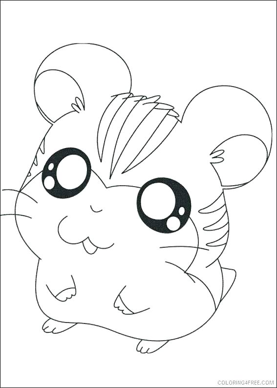 Baby Hamster Coloring Pages at GetColorings.com | Free printable