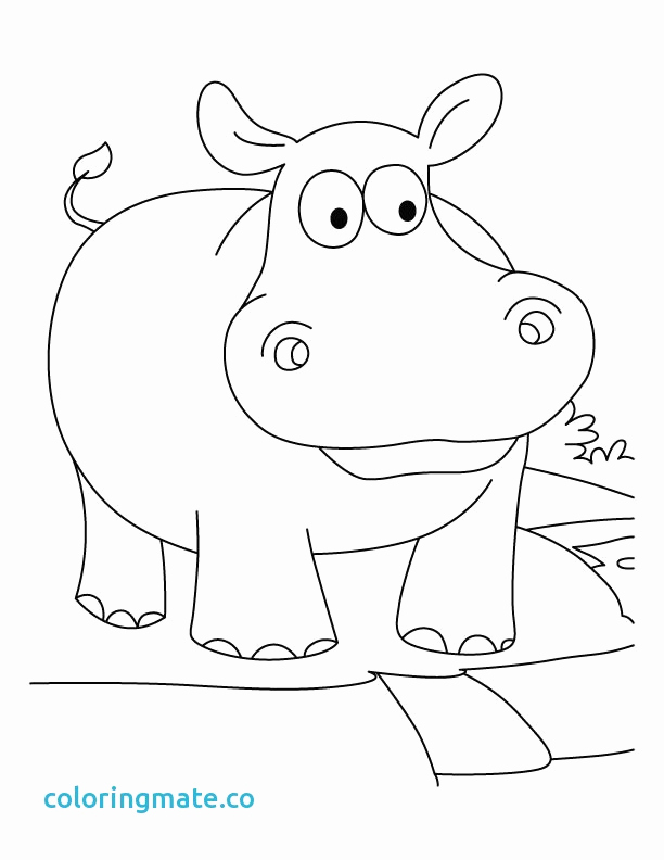 Baby Hippo Coloring Pages at GetColorings.com | Free printable
