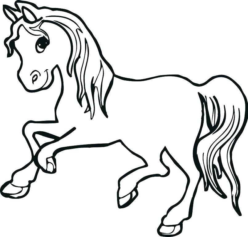 Baby Horse Coloring Pages at GetColorings.com | Free printable