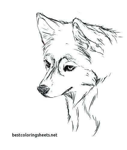 Baby Husky Coloring Pages at GetColorings.com | Free printable