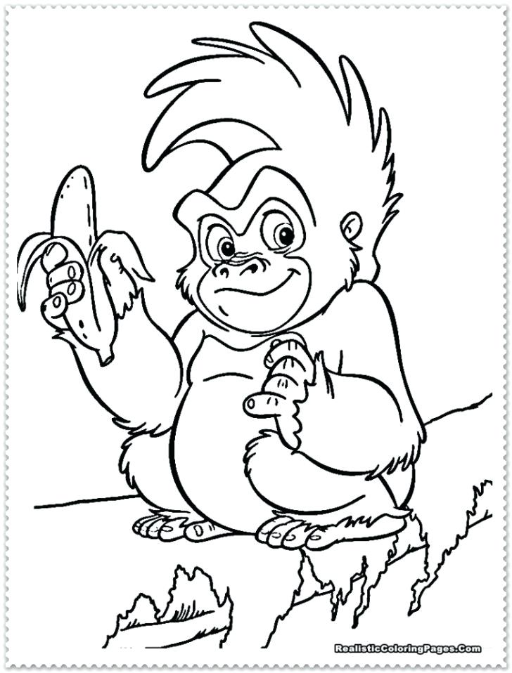 Baby Jungle Animals Coloring Pages at GetColorings.com   Free printable ...