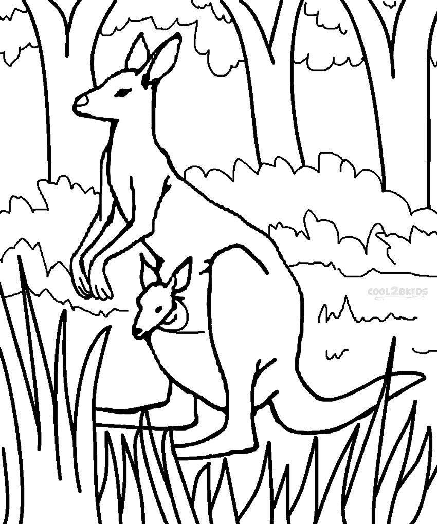 Baby Kangaroo Coloring Page at GetColorings.com | Free printable