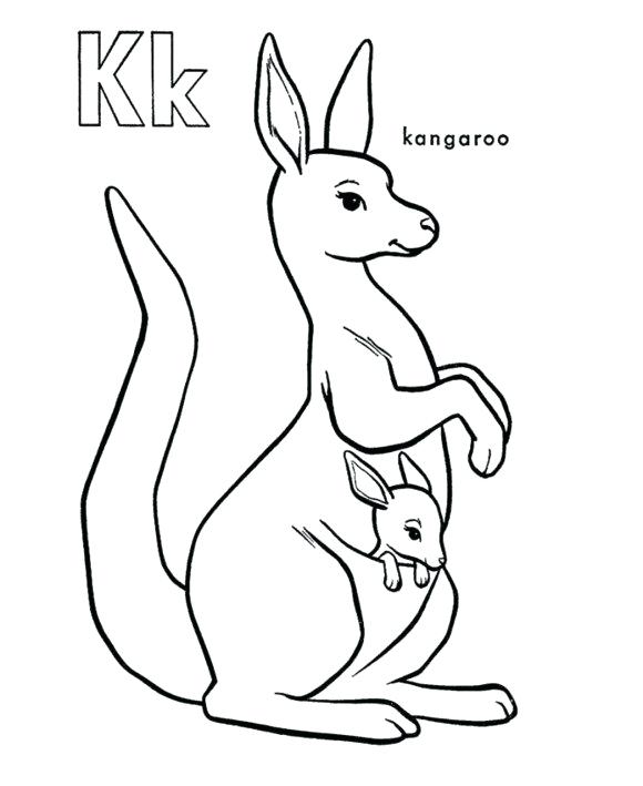 baby-kangaroo-coloring-page-at-getcolorings-free-printable