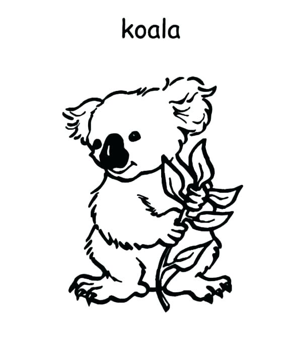 Baby Koala Coloring Pages at GetColorings.com | Free printable