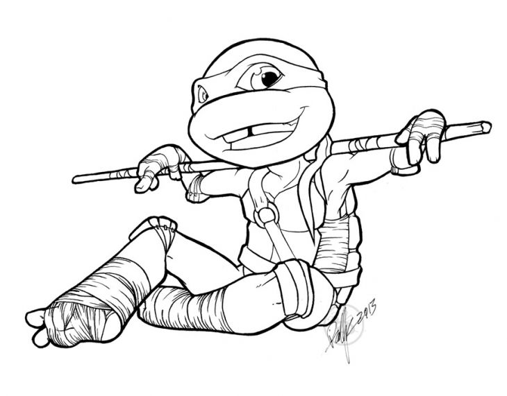 baby ninja turtle pictures