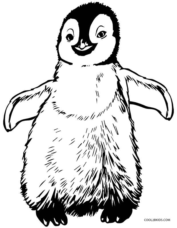 Baby Penguin Coloring Pages At GetColorings Free Printable Colorings Pages To Print And Color