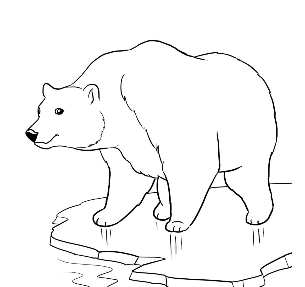 Baby Polar Bear Coloring Pages at Free