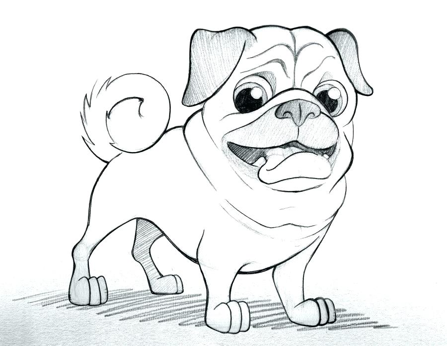 Baby Pug Coloring Pages at GetColorings.com | Free printable colorings