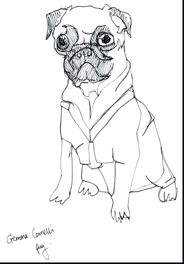 Baby Pug Coloring Pages at GetColorings.com | Free printable colorings