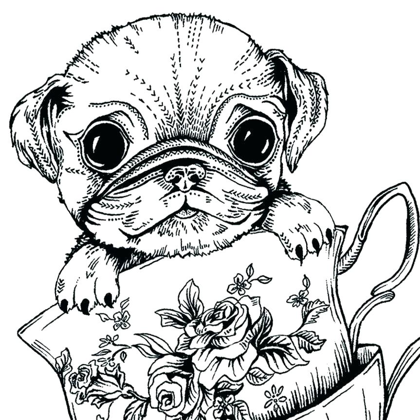 Baby Pug Coloring Pages at GetColoringscom Free