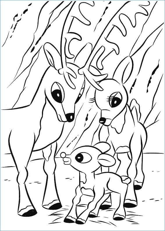 Baby Reindeer Coloring Page Coloring Pages
