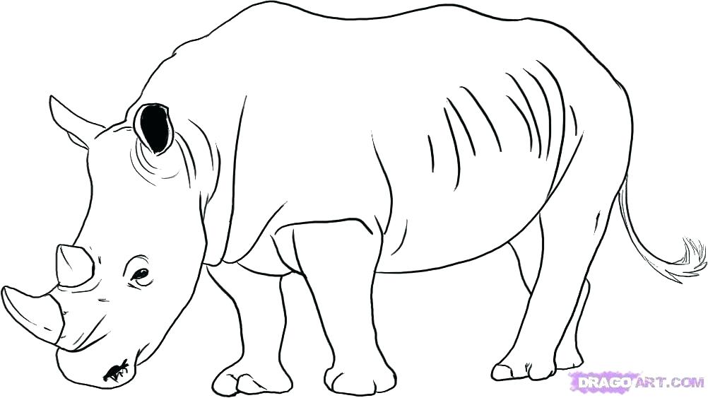 Rhino Coloring Page at GetColorings.com | Free printable colorings