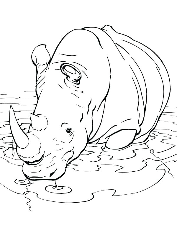 Baby Rhino Coloring Page at GetColorings.com | Free printable colorings