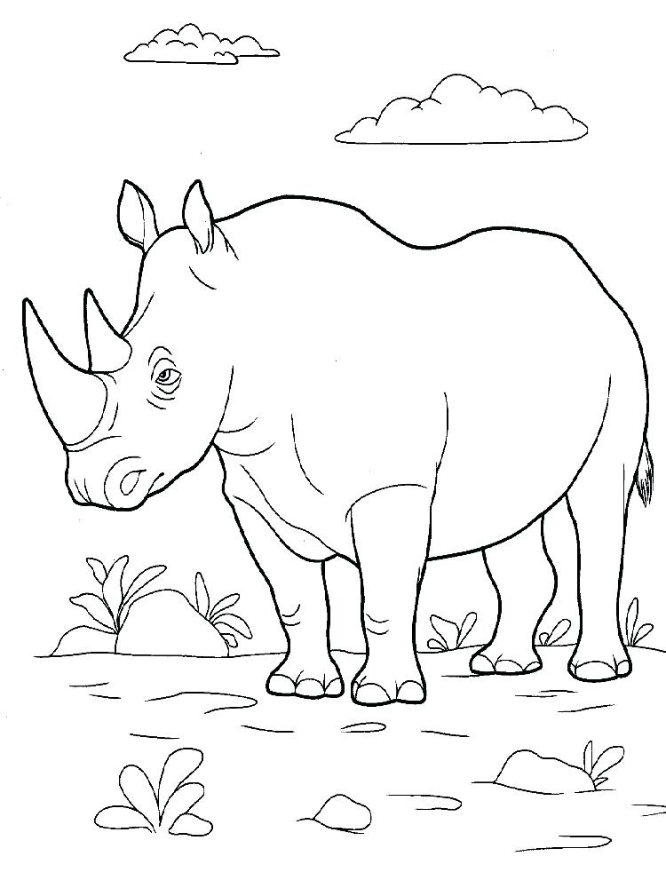 Baby Rhino Coloring Page At Getcolorings.com 