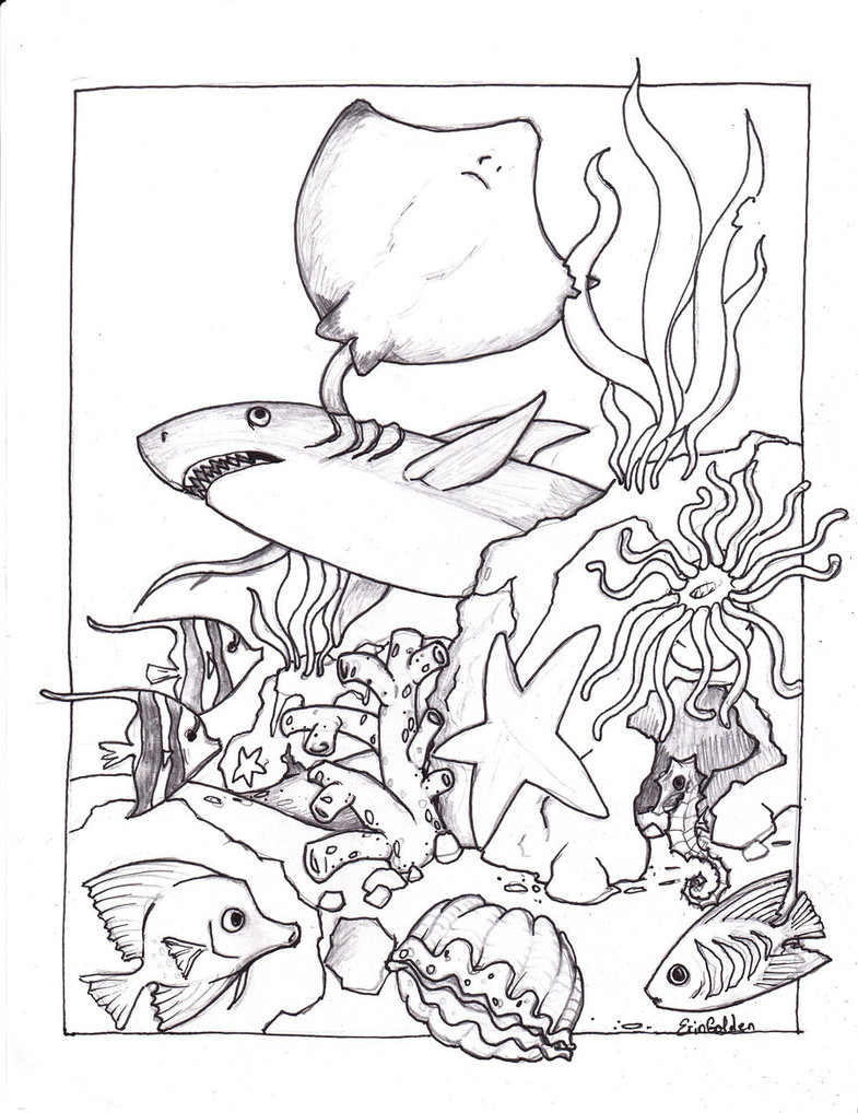 Baby Sea Animals Coloring Pages at GetColorings.com | Free printable