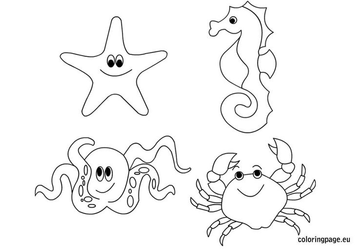 Baby Sea Animals Coloring Pages at Free printable