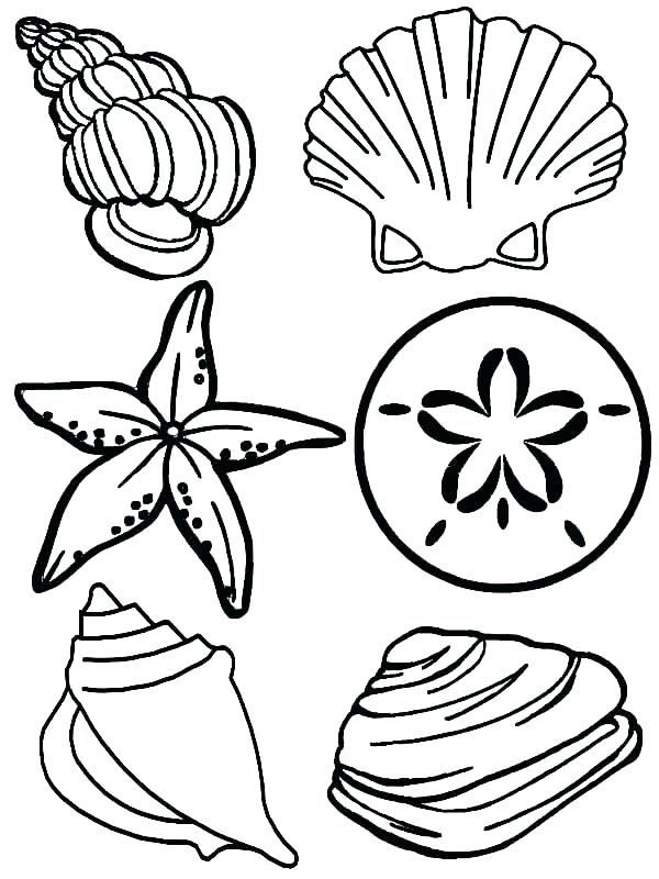 Baby Sea Animals Coloring Pages at GetColorings.com | Free printable