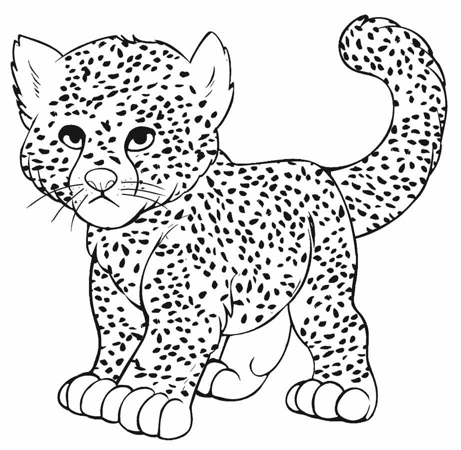 Baby Snow Leopard Coloring Pages at Free printable
