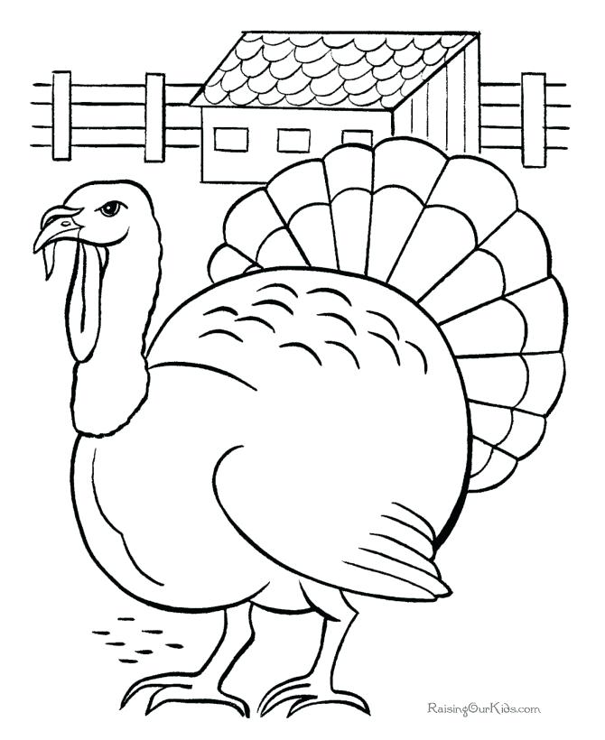 Baby Turkey Coloring Pages At GetColorings Free Printable 