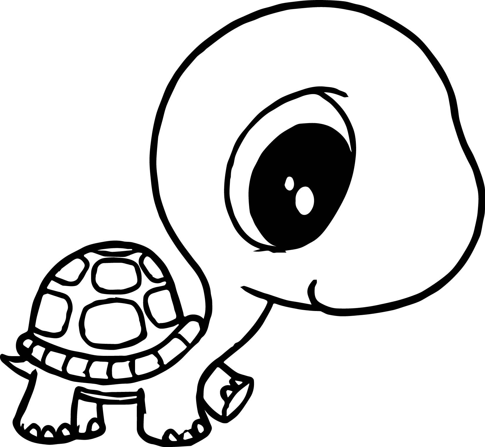 Baby Turtle Coloring Pages at GetColorings.com | Free printable
