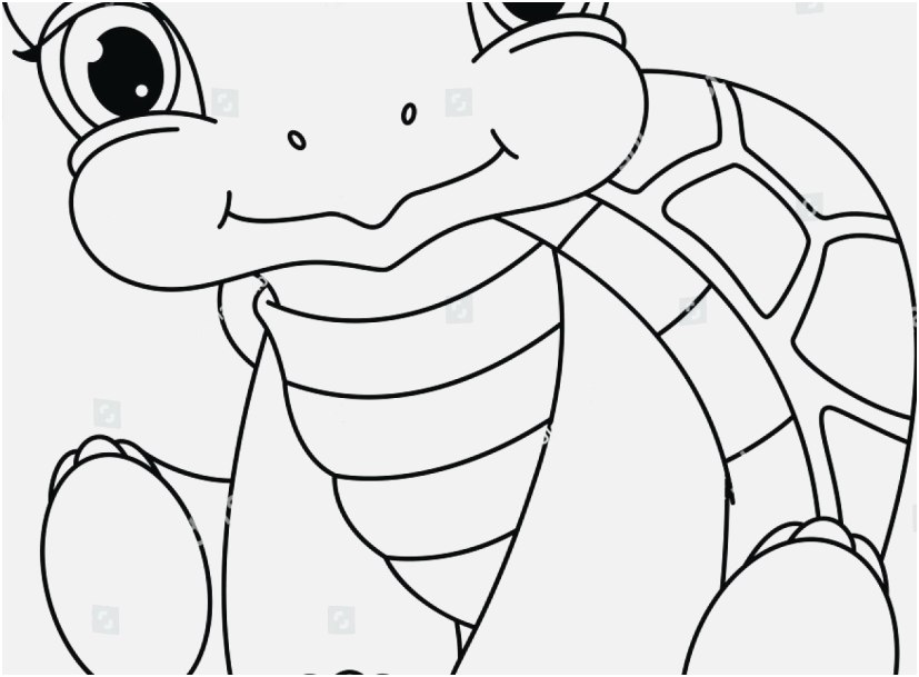421 Simple Cute Baby Turtle Coloring Pages for Adult