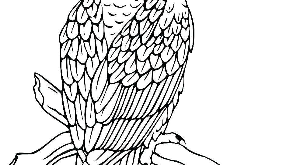 Bald Eagle Coloring Pages Printable at GetColorings.com | Free ... Bald Eagle Coloring Pages Printable at GetColorings.com | Free ...